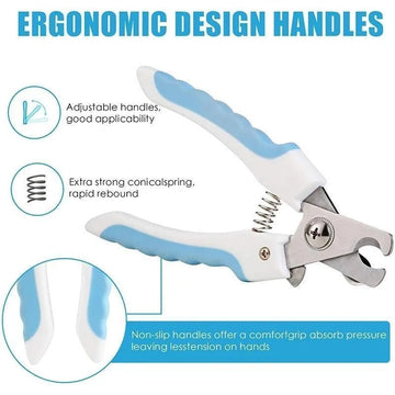 Transform Grooming into a Joyful Experience!